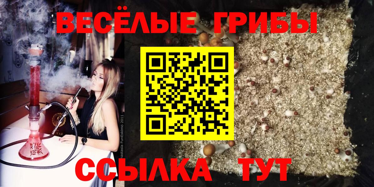 Галлюциногенные грибы мухоморы  Вход с VPN  Мурино 