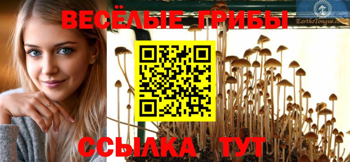 Псилоцибиновые грибы Magic Shrooms Мурино