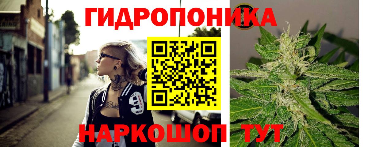 Каннабис Bruce Banner Мурино